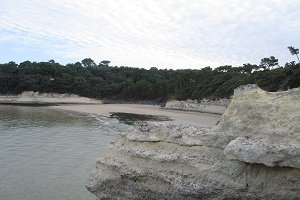 Plage de l'Arnèche