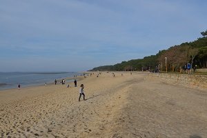 Plage des Abatilles Arbousiers - Arcachon