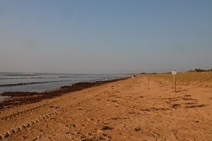 Plage du Bois Soret