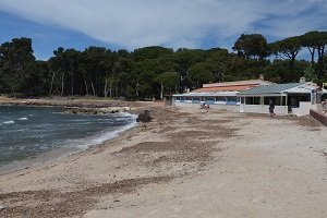 Plage de Sainte-Asile - Saint-Mandrier-sur-Mer