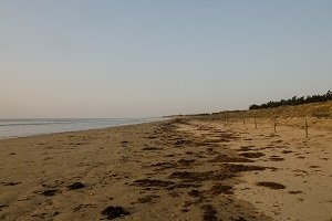 Plage des Lays - La Barre-de-Monts