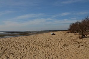 Plage de Graveyron - Audenge