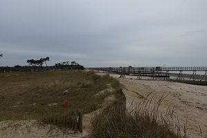 Plage de Lyarne - Les Moutiers-en-Retz