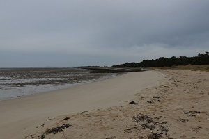 Plage du Collet