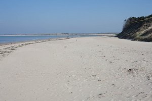 Plage de Printania - Créances