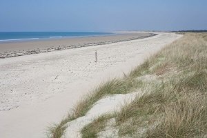 Plage du Champ