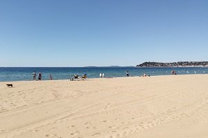 Spiaggia per cani - La Croix-Valmer