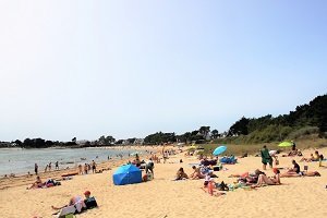 Plage du Men Du - La Trinité-sur-Mer