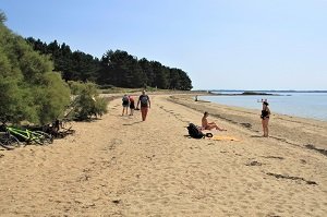 Bilhervé Beach - Ile d'Arz