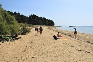 Plage de Bilhervé