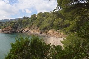 Plage du Figuier