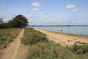 Plage de Nénézic - Ile d'Arz