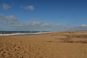 Digue Beach - Tarnos