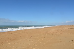 Plage du Champ de Tir - Tarnos