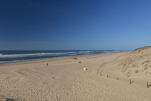 Plage des Bourdaines - Seignosse