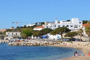 Spiaggia per i cani