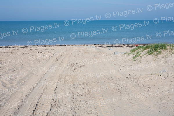 Plage du Fer du Moulin - Anneville-sur-Mer