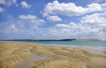 Beaches in Arcachon