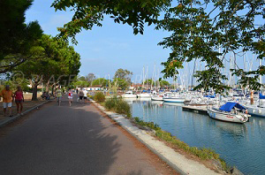 Beaches in Boyardville