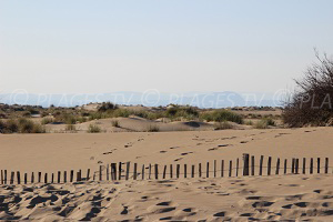 Beaches in Port Camargue