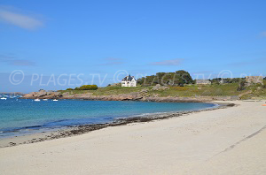 Beaches in Trégastel