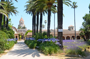 Iles de Lérins - Ile Saint Honorat