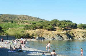 Beaches in Port-Vendres