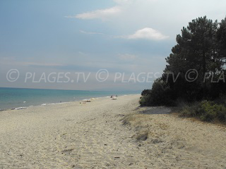 Plages Ghisonaccia