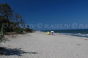 Beaches in Aléria