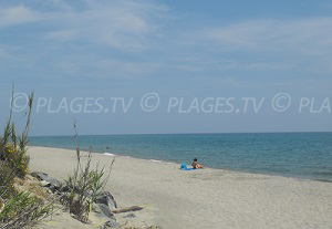 Spiagge Canale-di-Verde