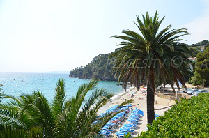 Beaches in Rayol-Canadel-sur-Mer