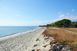 Plages Talasani