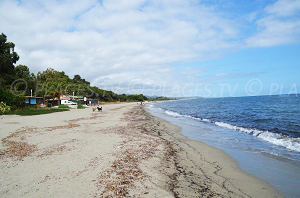 Beaches in Cervione