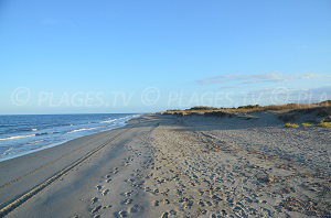 Plages Borgo