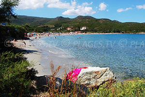 Beaches in Pietracorbara