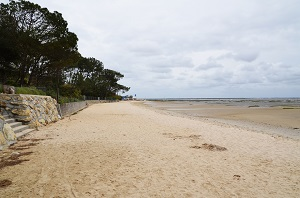 Plages Lanton