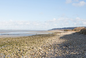 Plages Cricqueboeuf