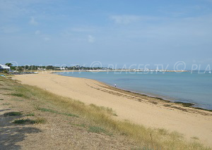 Beaches in Saint-Denis-d'Oléron