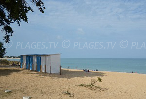 Beaches in La Brée-les-Bains