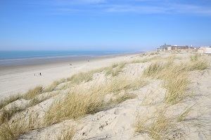 Beaches in Berck