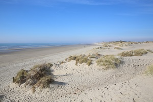 Beaches in Merlimont