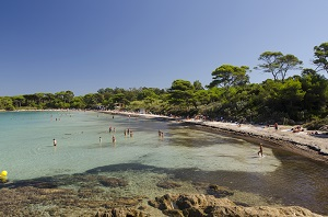 Beaches in Porquerolles