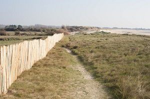 Plages Montmartin-sur-Mer