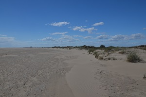 Plages Salin-de-Giraud