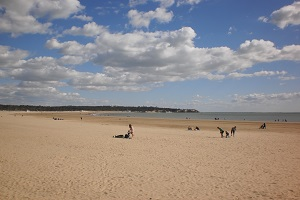 Beaches in Saint-Georges-de-Didonne