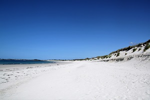 Plages Lampaul-Ploudalmézeau