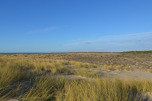 Station balnéaire de Ronce les Bains - La Tremblade