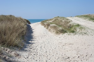 Plages Bretteville-sur-Ay