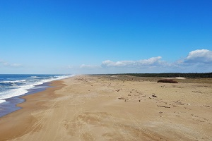 Beaches in Tarnos