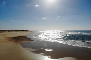 Beaches in Seignosse